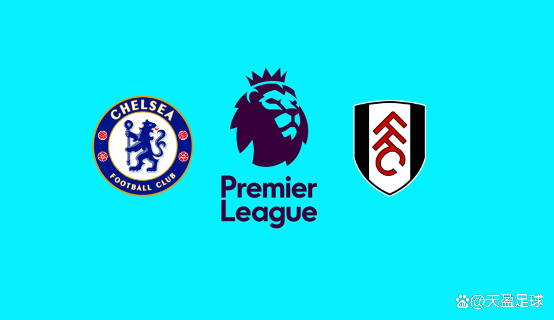 2025赛季足协杯现场观众总人数为505278人次，场均8020人